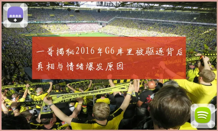 一哥揭秘2016年G6库里被驱逐背后真相与情绪爆发原因