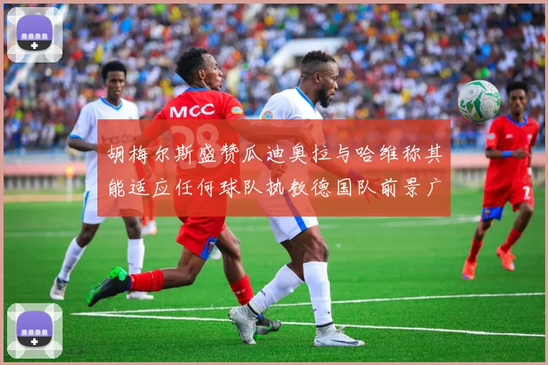 胡梅尔斯盛赞瓜迪奥拉与哈维称其能适应任何球队执教德国队前景广阔