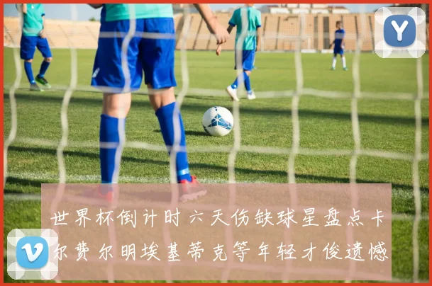 世界杯倒计时六天伤缺球星盘点卡尔费尔明埃基蒂克等年轻才俊遗憾缺席