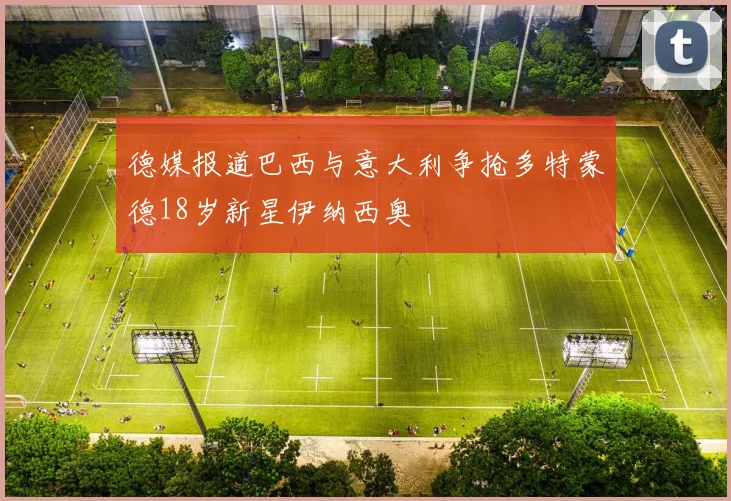 德媒报道巴西与意大利争抢多特蒙德18岁新星伊纳西奥