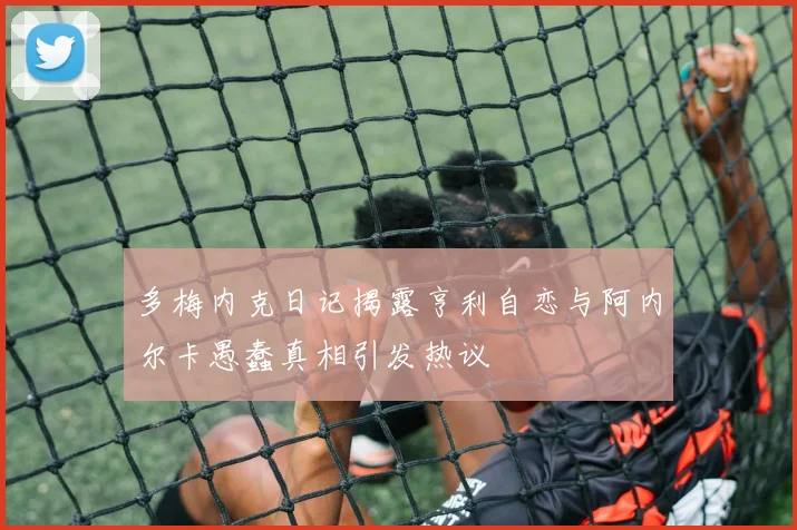 多梅内克日记揭露亨利自恋与阿内尔卡愚蠢真相引发热议